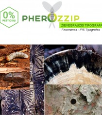 FEROMONAS Žievėgraužiui tipografui (Ips typographus) PHEROZZIP, 1 VNT